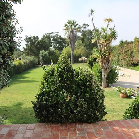 סינטרה Casa Seahorses B Cottage מראה חיצוני תמונה