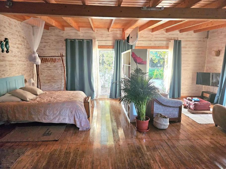 סינטרה Casa Seahorses B Cottage מראה חיצוני תמונה